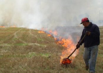 Seremi de Agricultura reitera que uso de fuego para quemas agrícolas está suspendido