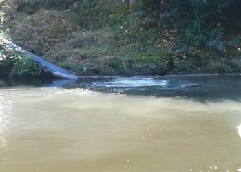Superintendencia del Medio Ambiente confirma emisiones de riles al río Damas desde una planta de tratamiento en Osorno