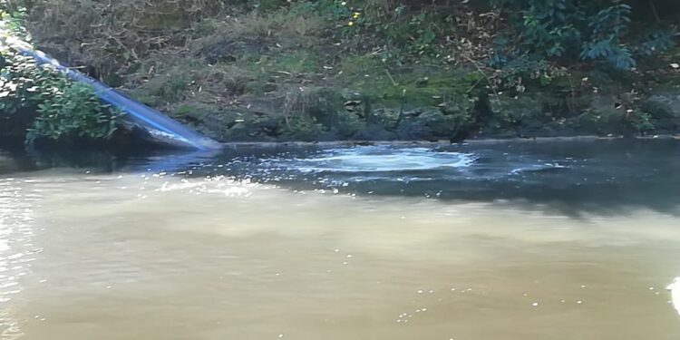 Superintendencia del Medio Ambiente confirma emisiones de riles al río Damas desde una planta de tratamiento en Osorno