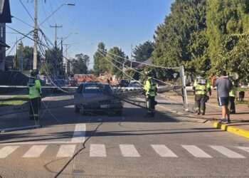 Camión que transportaba maquina agrícola arrasó con tendido eléctrico en San Pablo