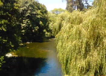 Vecinos del Río Damas participarán en sesión de la comisión de Medio Ambiente del Core Los Lagos