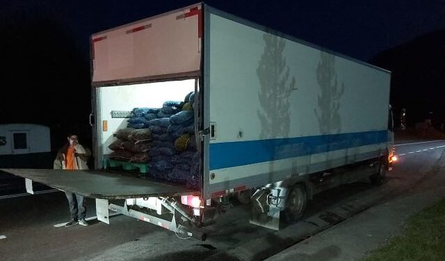 Incautan casi siete toneladas de recursos del mar y dos vehículos