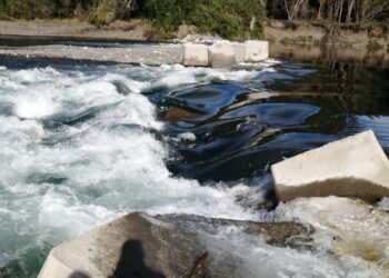 Superintendencia de Medioambiente ordenó remoción de pretil instalado por Aquafarms en el río Rahue