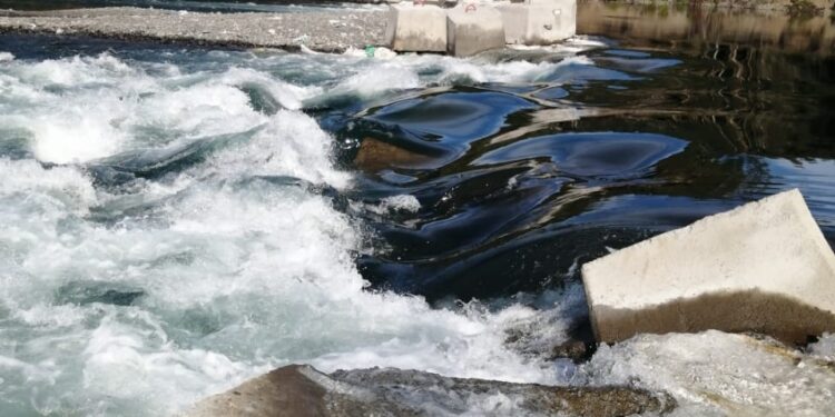 Superintendencia de Medioambiente ordenó remoción de pretil instalado por Aquafarms en el río Rahue