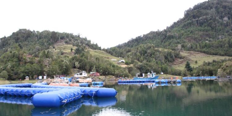 Abren áreas de cultivo que estaban cerradas por VAM