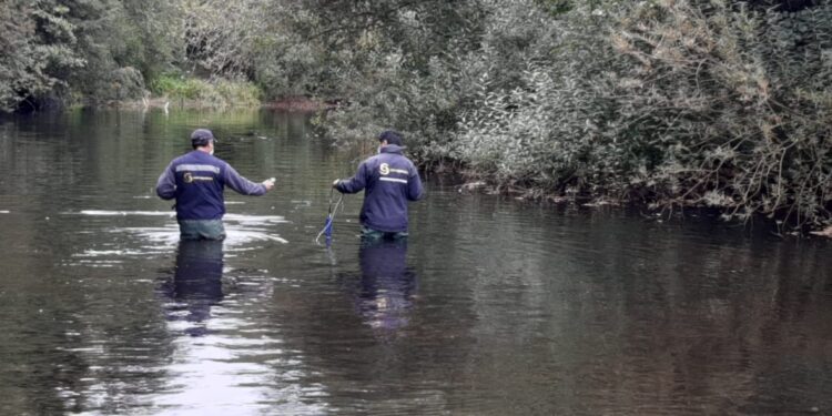 Seremi del Medio Ambiente impulsa fiscalización intersectorial en 12 puntos del Río Damas de Osorno