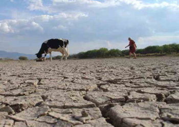 Diputado Hernández solicita a Ministra de Agricultura decretar Emergencia Agrícola para Región de Los Lagos