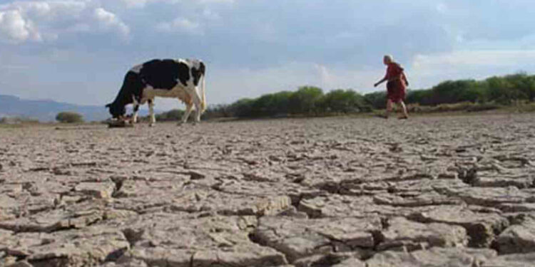 Diputado Hernández solicita a Ministra de Agricultura decretar Emergencia Agrícola para Región de Los Lagos