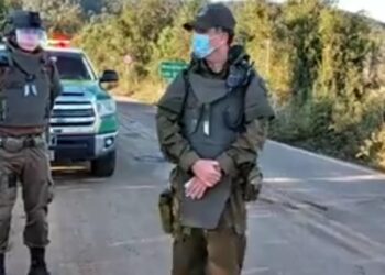 Frustran ataque armado de encapuchados a predio forestal en Panguipulli