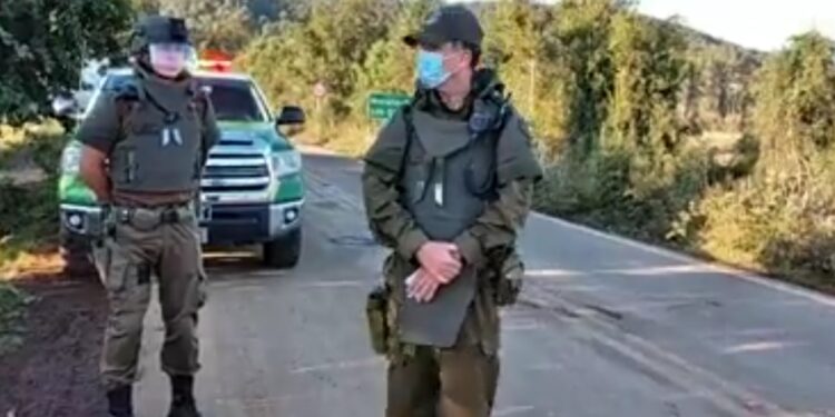 Frustran ataque armado de encapuchados a predio forestal en Panguipulli