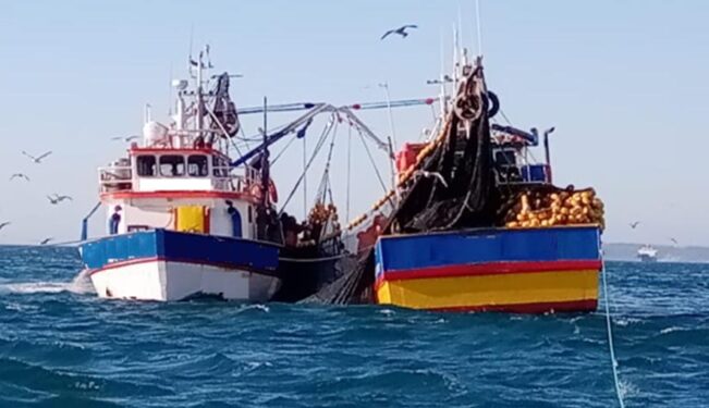 Subpesca regula traspaso de excedentes de captura entre embarcaciones para evitar descarte