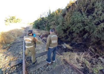 Carabineros investiga incendio a través de sus equipos especializados de Labocar y O.S.9