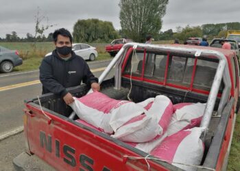 Municipio de Osorno inició entrega de recursos para apoyar a pequeños agricultores de la comuna