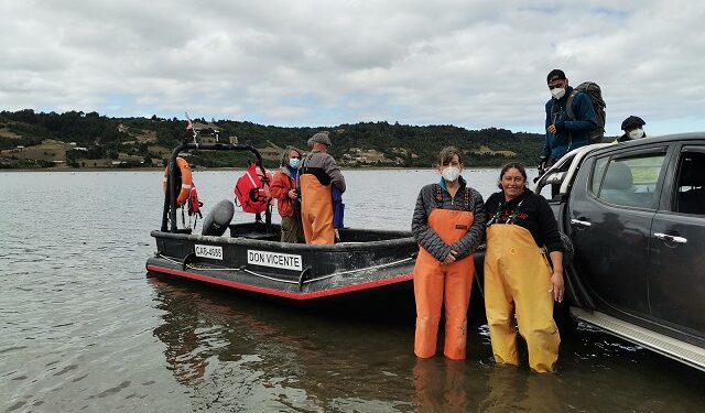 Subpesca Corfo y Sernapesca destacan el trabajo de mitilicultoras de la región de Los Lagos