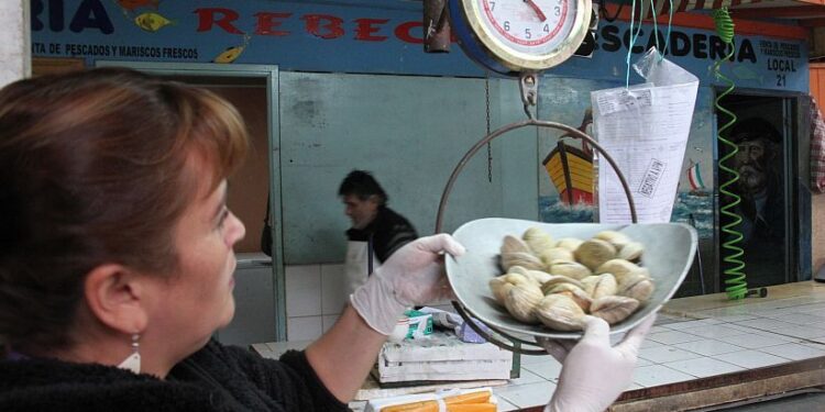 Llaman a consumir y comprar mariscos en lugares certificados por la Seremi de Salud