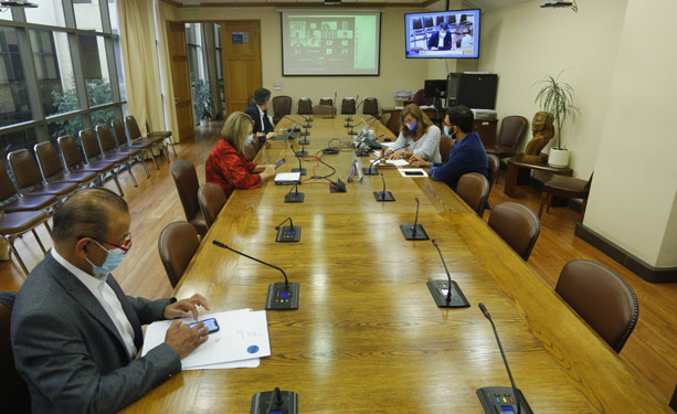 Consejo Asesor recalca que se debe mantener el toque de queda, pero plantea vincularlo a fases del Paso a Paso