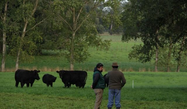 1.120 millones de pesos asigna SAG a agricultores de la región