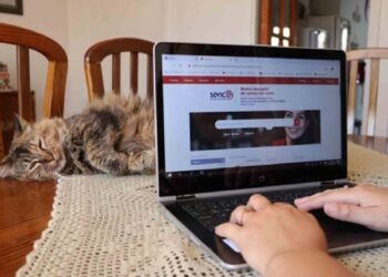 Alianza entre Sence y Claro abren nuevos cursos gratuitos online en diversas áreas
