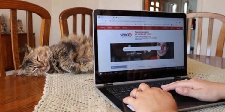 Alianza entre Sence y Claro abren nuevos cursos gratuitos online en diversas áreas