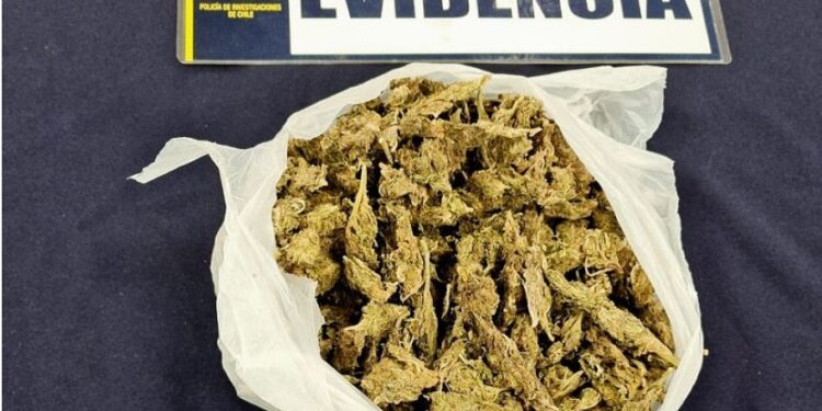 Detienen a un sujeto con medio kilo de marihuana en su mochila