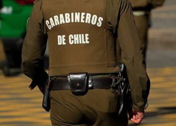 Nuevo intento de toma de terreno terminó con otro detenido en Huillinco- Osorno