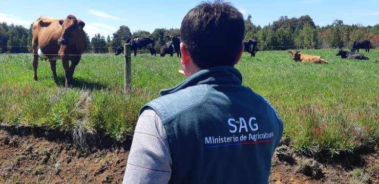 Fiscalización con sentido: SAG implementa plan de capacitación dirigido a la Agricultura Familiar Campesina