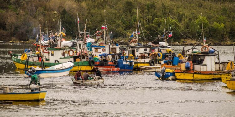 Subpesca lidera proceso de diálogo entre pescadores de Aysén y Los Lagos por zonas contiguas