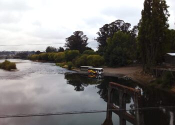 Estudio encargado por municipio de Osorno a la ULA confirma contaminación de Río Damas y Rahue