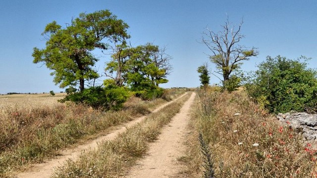 Este año se han registrado menos precipitaciones que el promedio histórico de los últimos 45 años