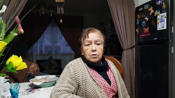 Terror por plaga de ratones en población García Hurtado de Mendoza de Osorno