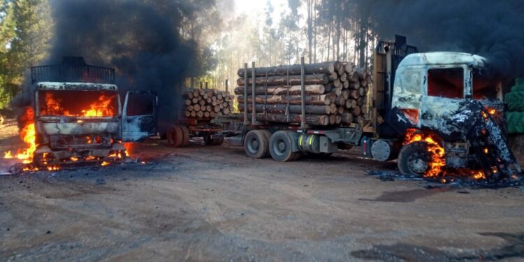 Una docena de camiones quemados en múltiple ataque incendiario en Lumaco