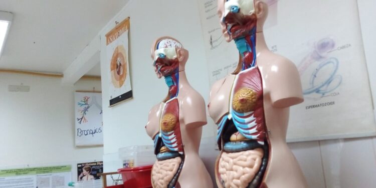 14 laboratorios de ciencias para escuelas rurales adquirirá departamento educación municipal