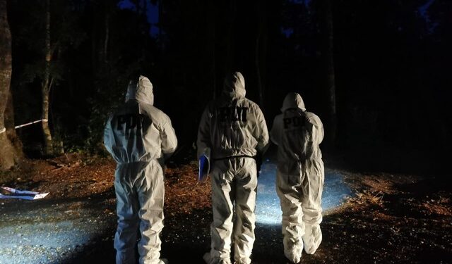 Encuentran cuerpo de un hombre calcinado en Panguipulli