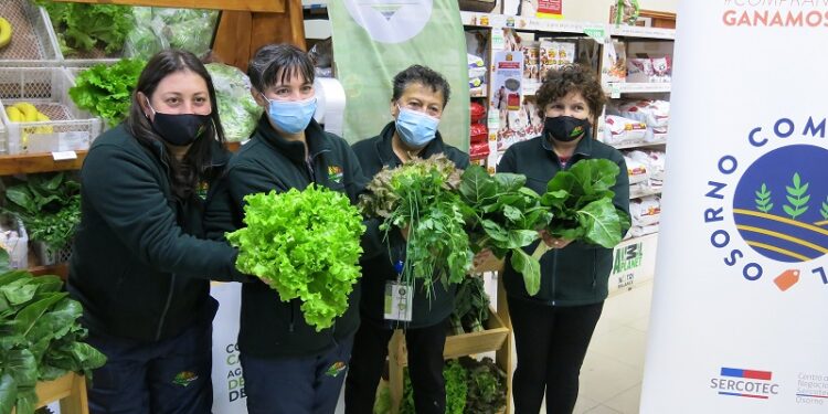 “Osorno Compra Local” potencia la comercialización formal de la Cooperativa Campesina Agroecológica de Mujeres
