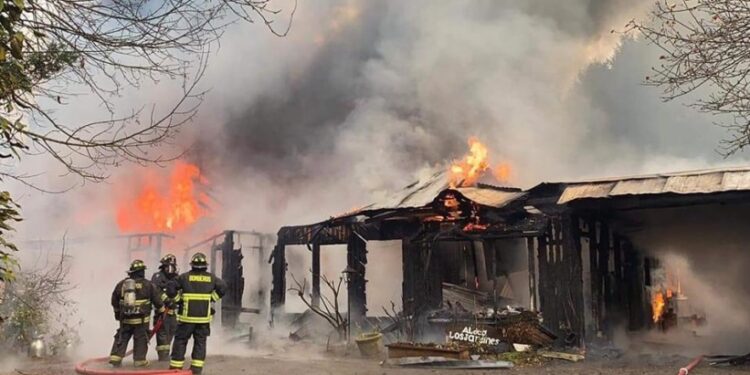 Millonarias pérdidas en incendio que destruyó 3 cabañas en Osorno
