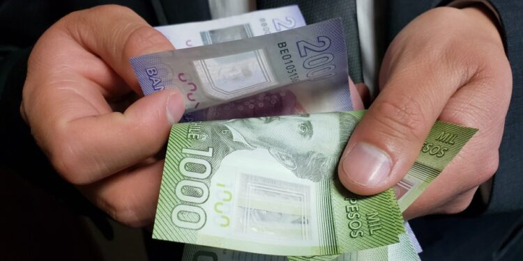 A más de 365 mil familias llegará IFE Universal en la región de Los Lagos