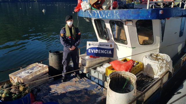 Duro golpe a la pesca ilegal incautan más 7 mil kilos de merluza austral