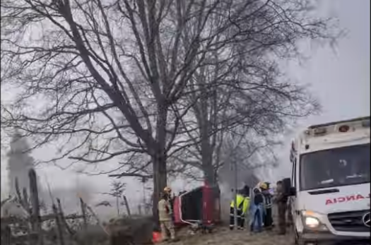 Conductor perdió la vida al chocar con un árbol en Río Negro
