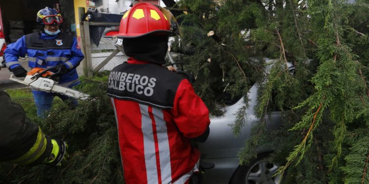 lluvias y vientos de hasta 100 km/h generan destrozos pero no se registraron damnificados