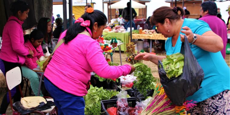 Municipio de San Juan de La Costa llama a feriantes finalizar el proceso de postulación al “Bono Alivio”
