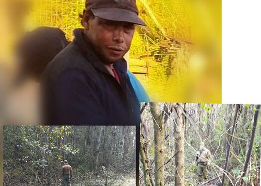 Encuentran cuerpo sin vida de trabajador extraviado en Rupanco-Puerto Octay