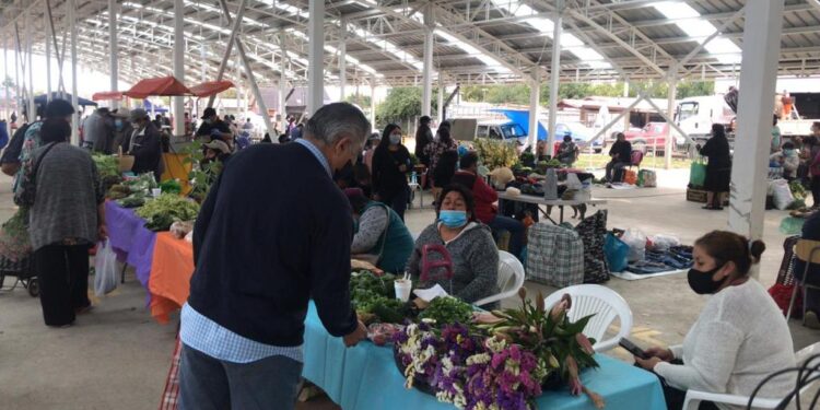Municipio informó al SII que más de mil 500 feriantes osorninos presentan permiso vigente para postular al bono de alivio Mypes