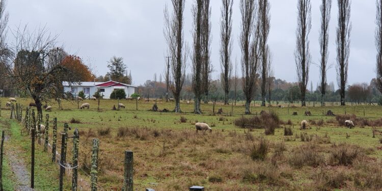 Statkraft Chile potenciará turismo local en la cuenca del Pilmaiquén
