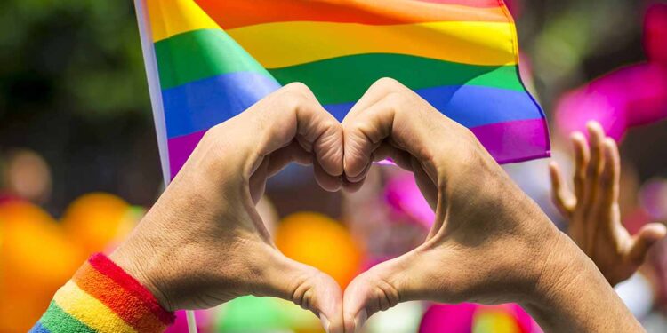 Seremi de Desarrollo Social de Los Lagos valoró aprobación de Matrimonio Igualitario