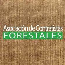 Asociación de Contratistas Forestales respaldó acción de Carabineros en muerte de comunero