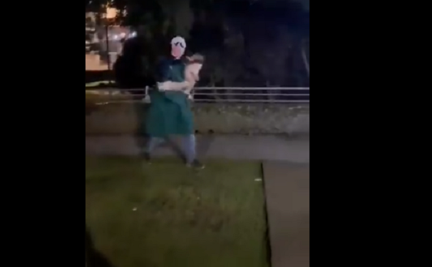Buscan a enmascarado que robó un ganso en el boulevard Doña Ema de Puerto Varas