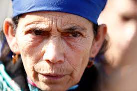 Machi Francisca Linconao intentaba salir del país sin los documentos correspondientes