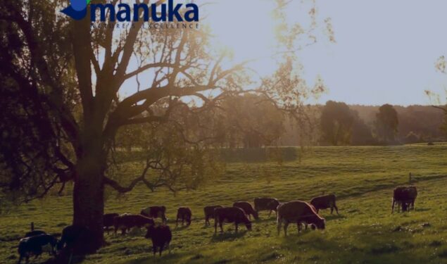 Manuka aclara situación de posible caso de fiebre Q en una trabajadora de la empresa