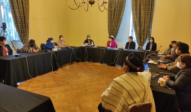 Convencionales de pueblos originarios condenan muerte de comunero mapuche