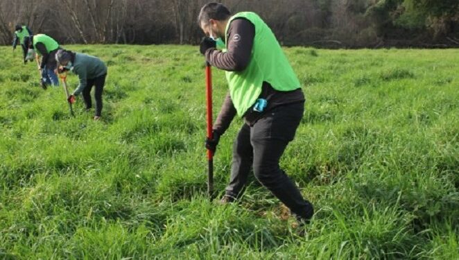 50 árboles nativos fueron plantados a orillas del río damas